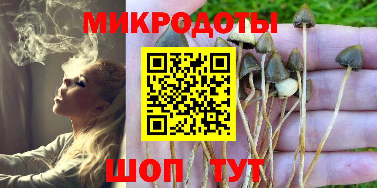 Галлюциногенные грибы Psilocybe Шелехов