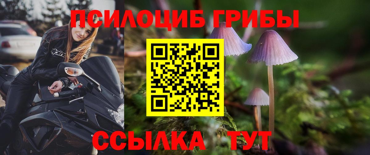 Галлюциногенные грибы ЛСД  Галлюциногенные грибы ЛСД  Шелехов  Вход с VPN 