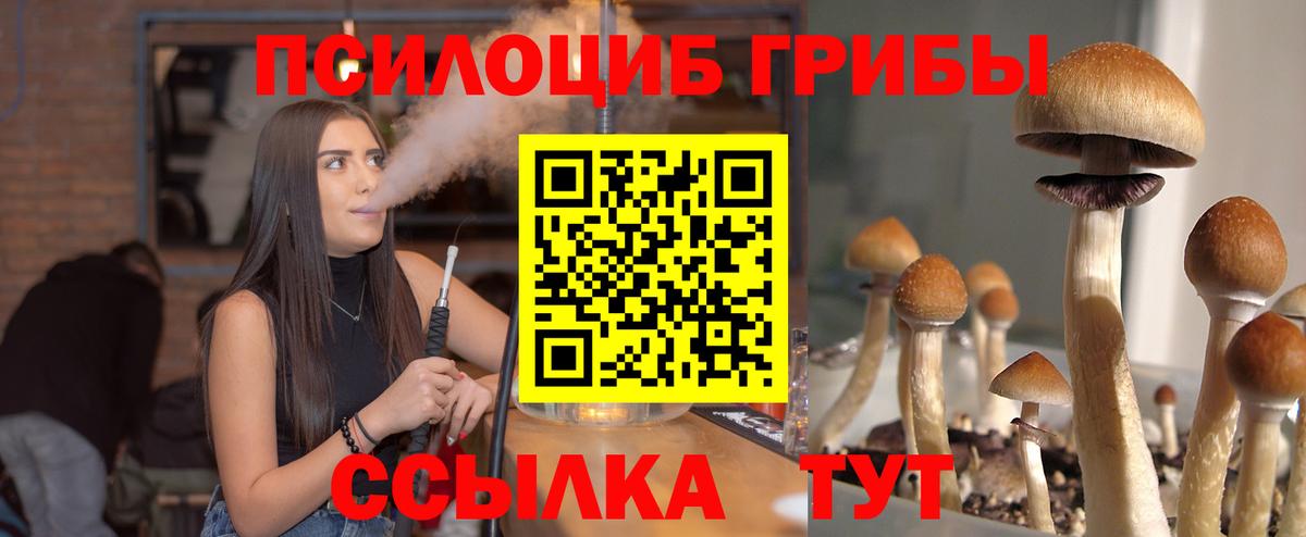 как найти закладки  Вход с VPN  Шелехов  Галлюциногенные грибы Cubensis  Галлюциногенные грибы мухоморы 